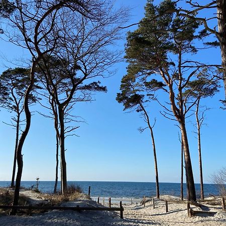 Ferienwohnung Strandkoje 奥茨塞巴德·迪尔哈根 外观 照片